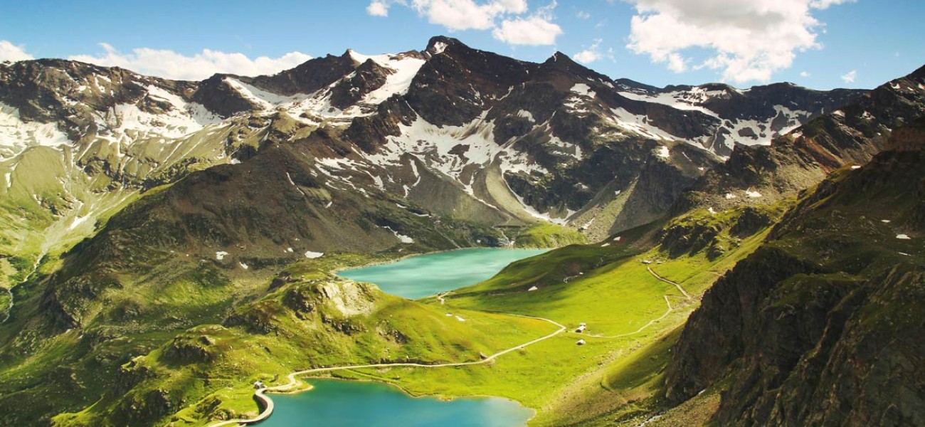 Frese nenatis enim sed lipes