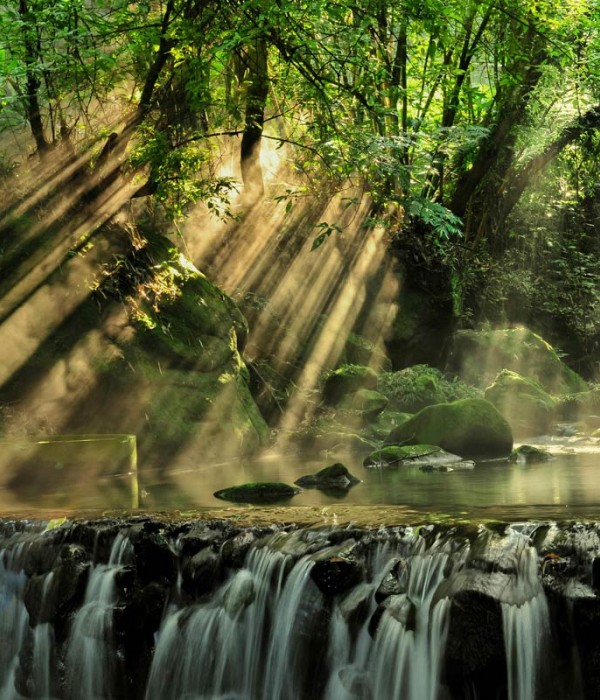 Lectus quam frings enim sed volutpat