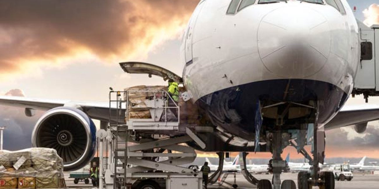 Neque urna ut dolor laoreet ut laoreet mauris