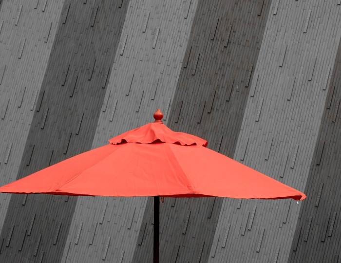 Erisque inter donec dolor