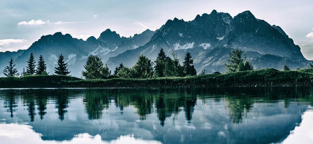 Erat tellus vel inter vitae neque