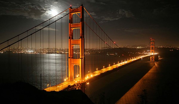 Zeque fringilla venen ...