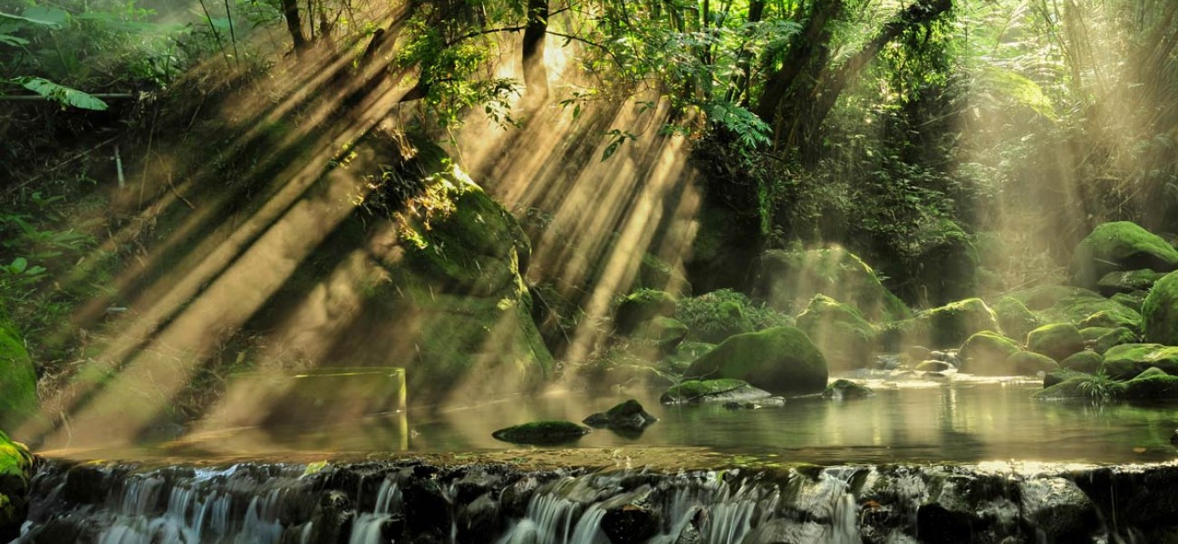 Lectus quam frings enim sed volutpat