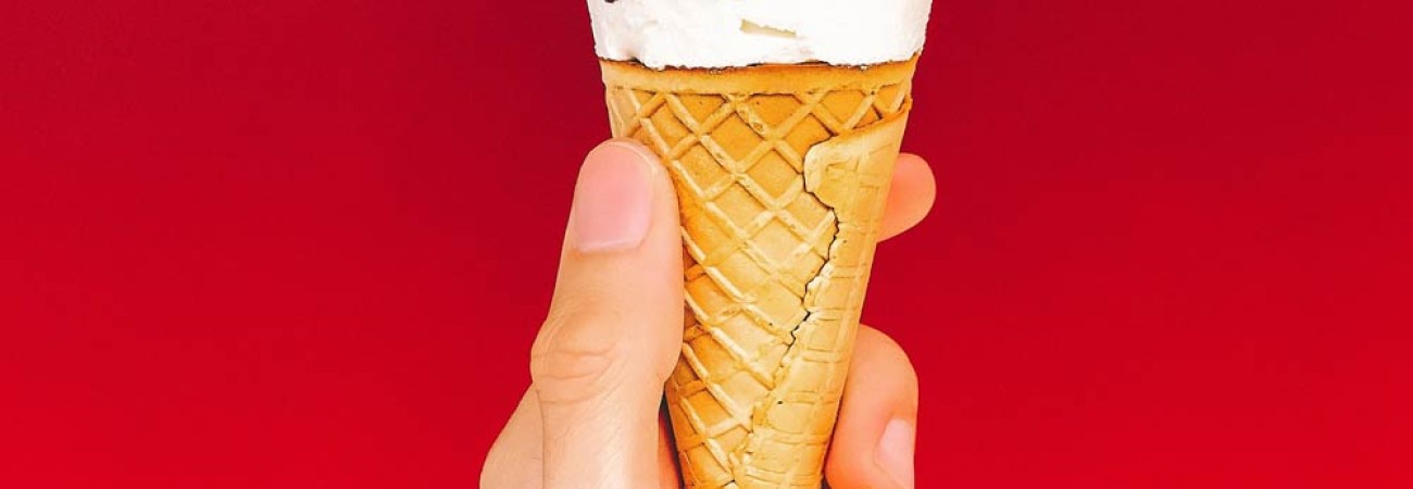 Lecit quat fringilla ...