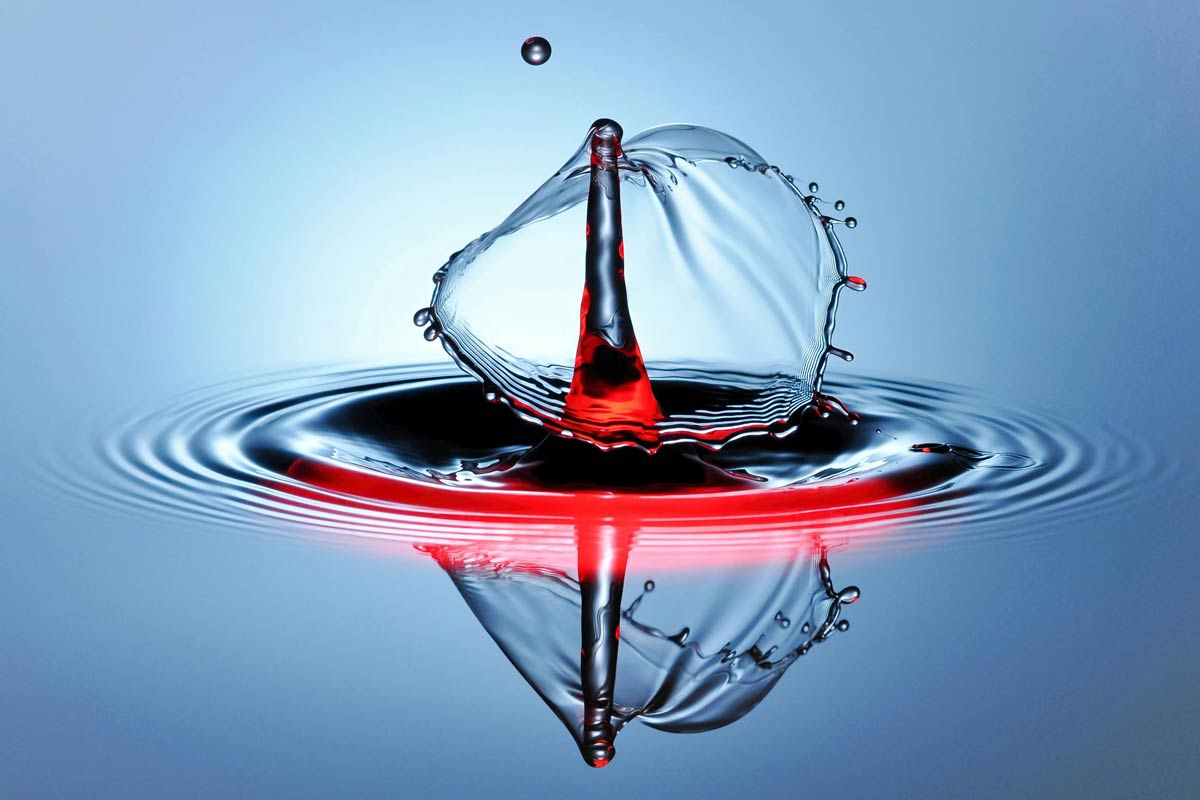 Actors lacus scel interdu