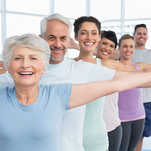 Duis porta pellentesque orci