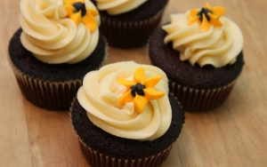 Cras ac felis deserunt mollit