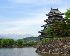 Ames nihil moleste conse